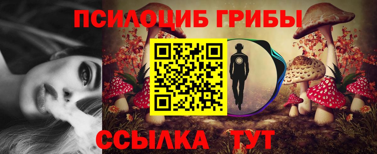 Псилоцибиновые грибы Psilocybe Ирбит